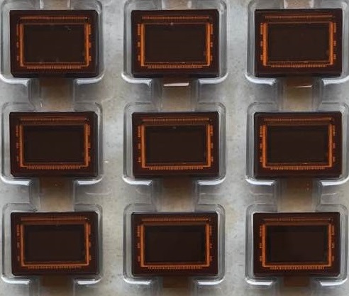 AMS OSRAM CMV2000-3E5C1LP